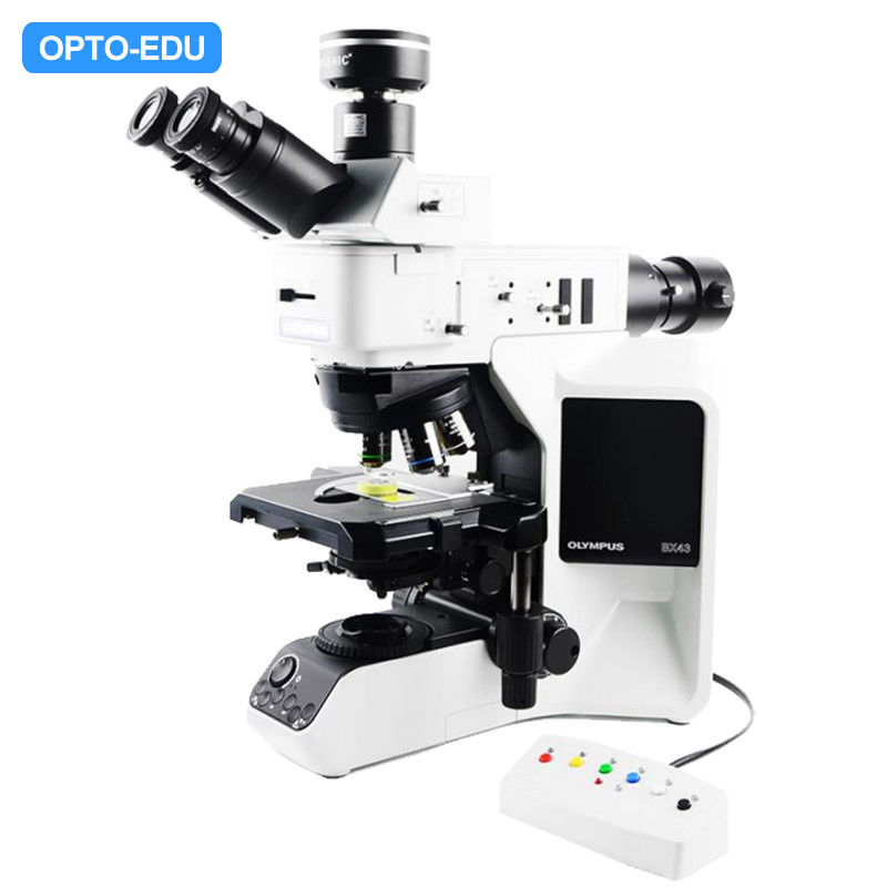 OPTO-EDU Infinity Trinocular Metallurgical Microscope with 5 Holes Nosepiece 60000 Hours Life Time and 4500K Color Temperature