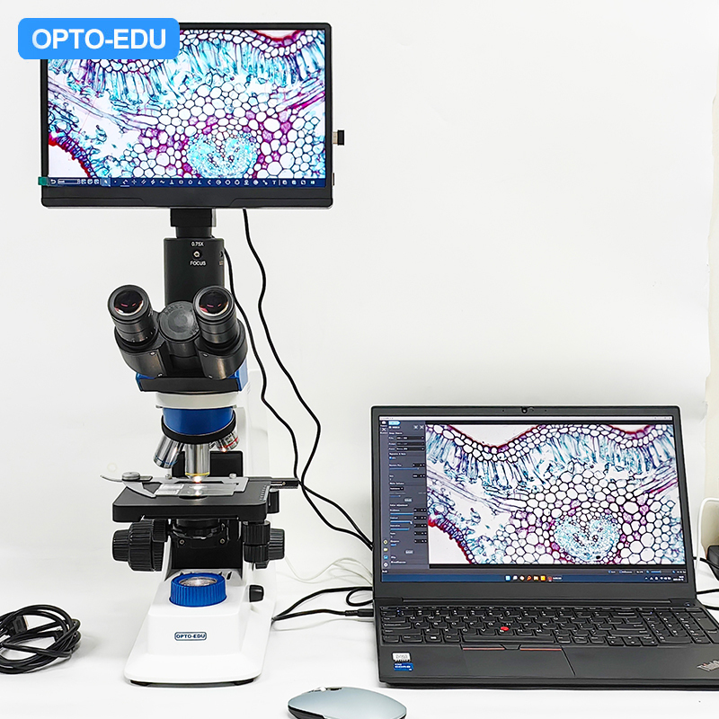 11.6" 8.0M Digital Microscope Camera with 4K 3840x2160 Resolution