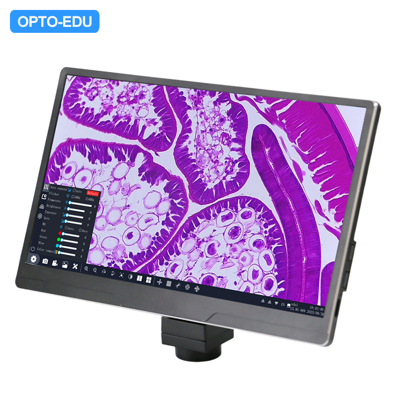 11.6" 8.0M Digital Microscope Camera with 4K 3840x2160 Resolution