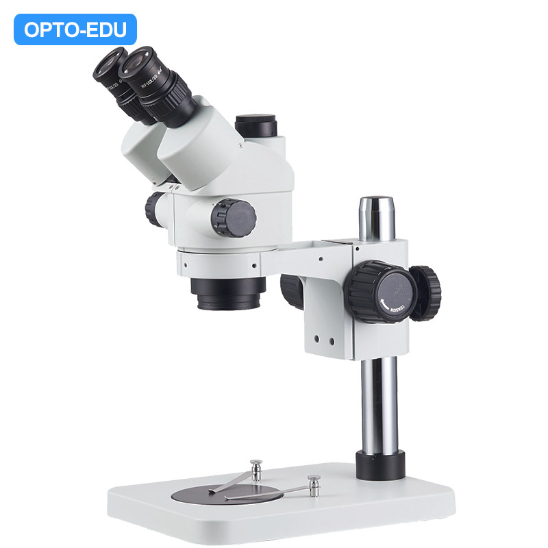 Accessori per microscopi 2pcs Stereo Microscopio Oculare Accessori per microscopi 2pcs Stereo Microscopio Oculare