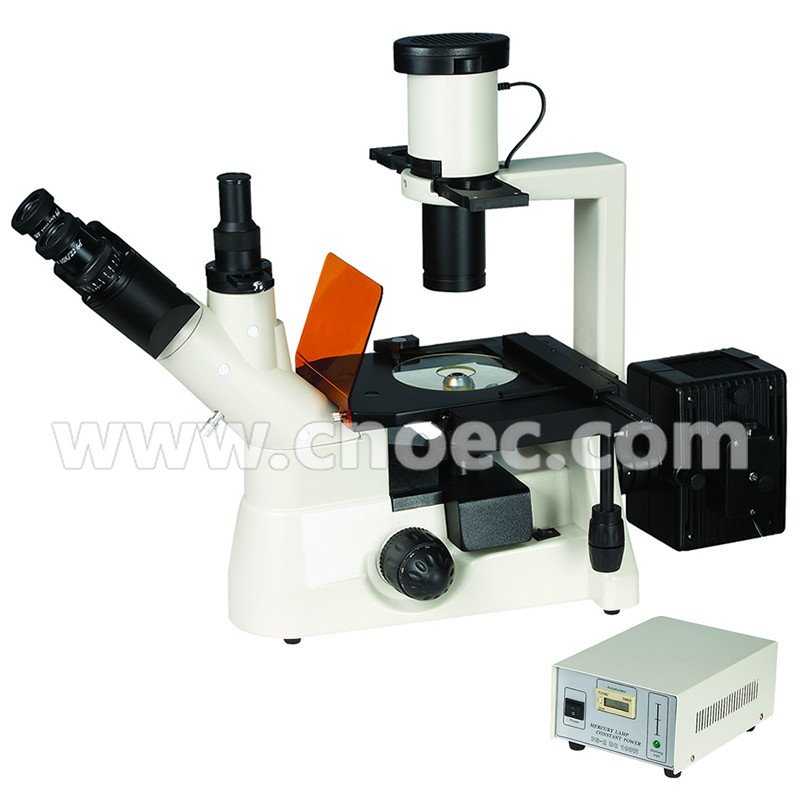 Laboratorio ottico fluorescente invertito A16.1102 della testa 400X di ...
